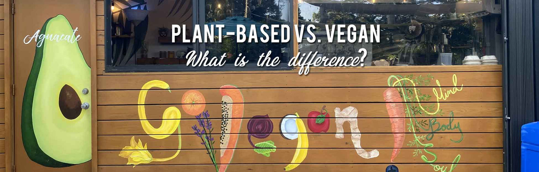 Plant-based vs. Vegan - What is the difference