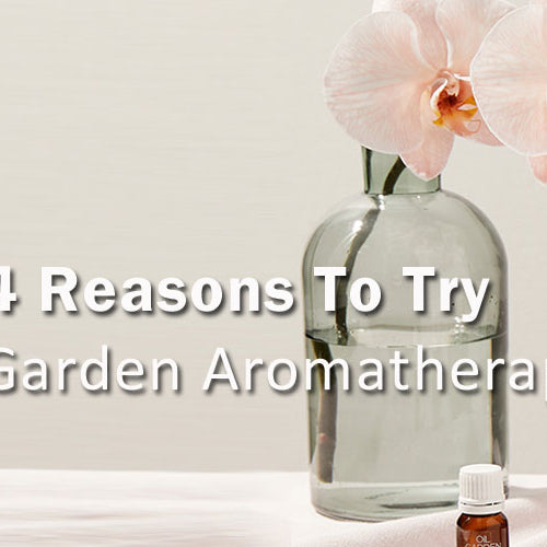 4 Reasons To Try Oil Garden Aromatherapy