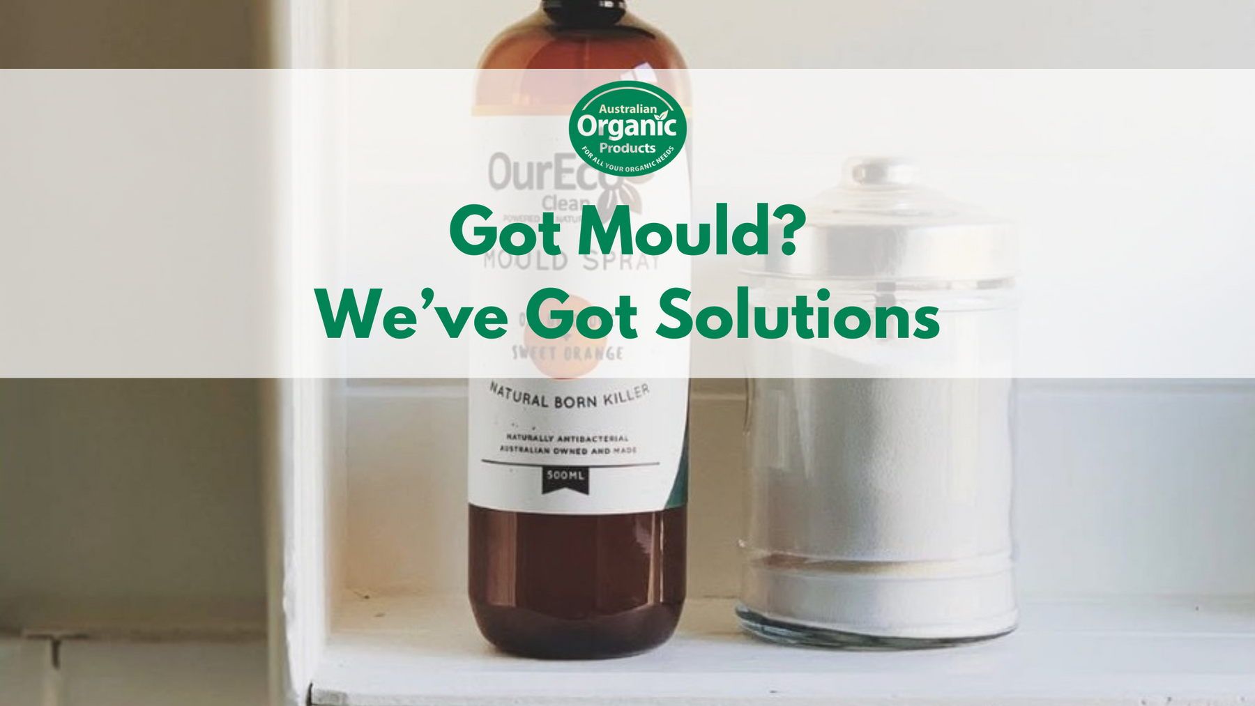 Got Mould? We've Got Solutions! | Natural Solutions Inside