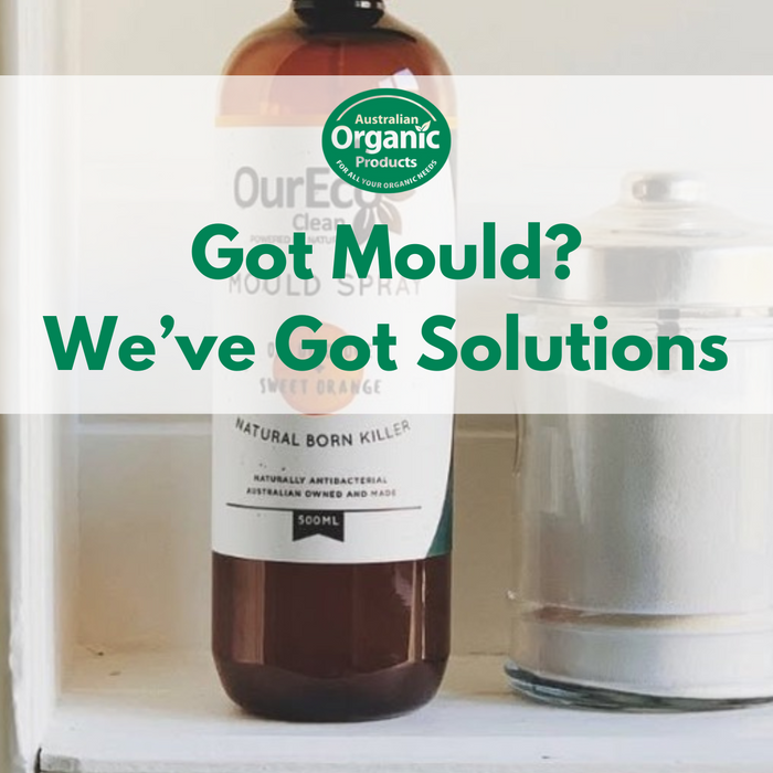 Got Mould? We've Got Solutions! | Natural Solutions Inside