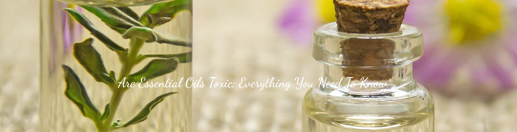 Are Essential Oils Toxic; Everything You Need To Know