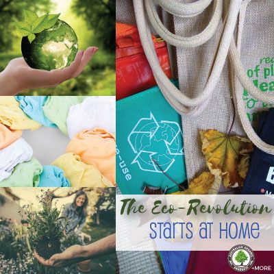 The Ecological Revolution Starts At Home