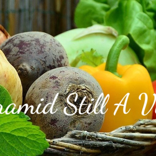 Is The Food Pyramid Still A Viable Method?