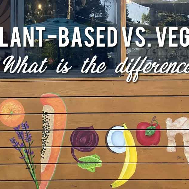 Plant-based vs. Vegan - What is the difference