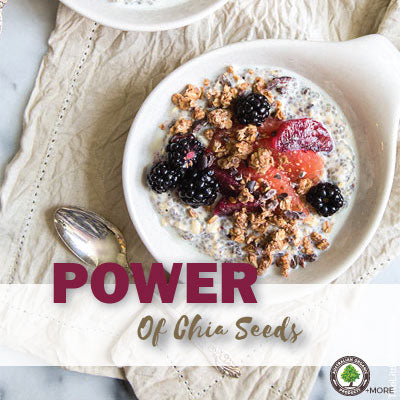 The Power of Chia Seeds