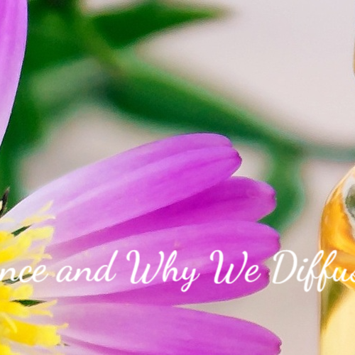 The Importance and Why We Diffuse Essential Oils