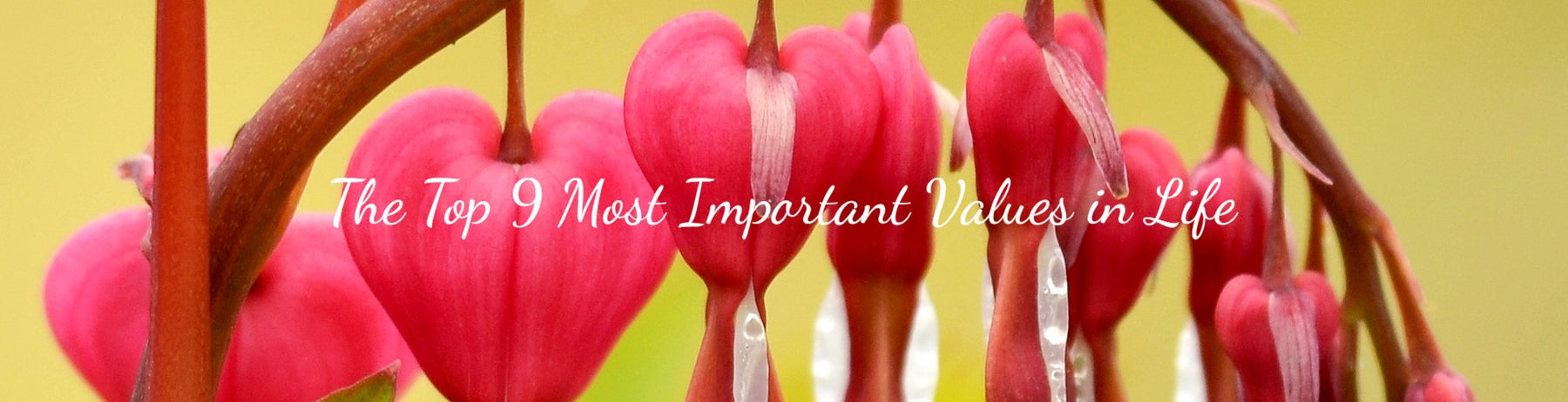 The Top 9 Most Important Values in Life