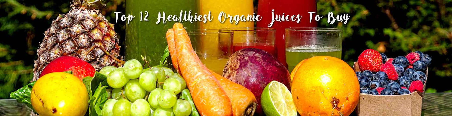 Top 12 Healthiest Organic Juices To Buy