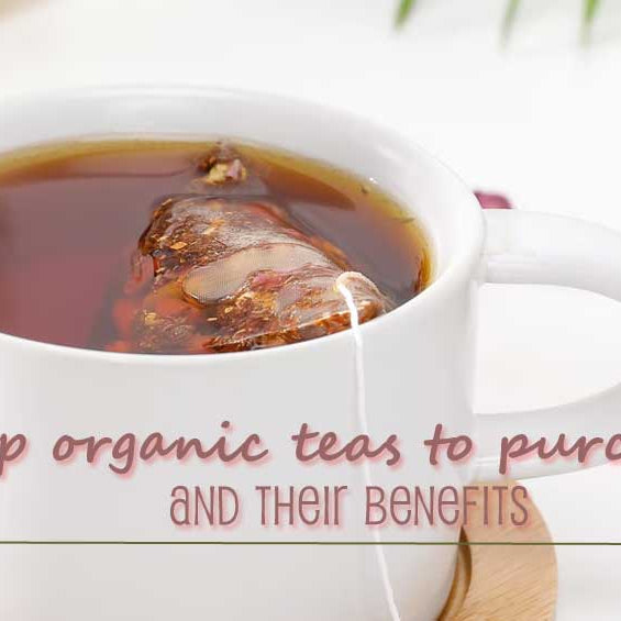 Top organic teas to purchase and their benefits