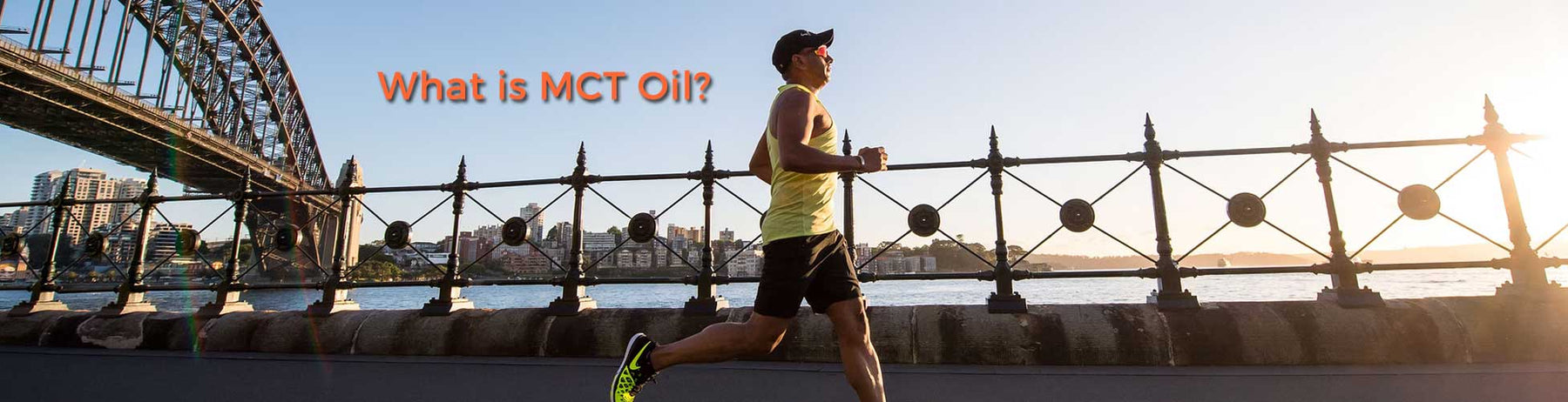 What is MCT oil