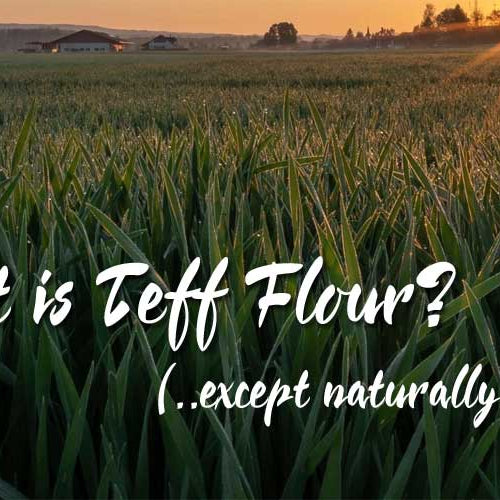 What is teff flour