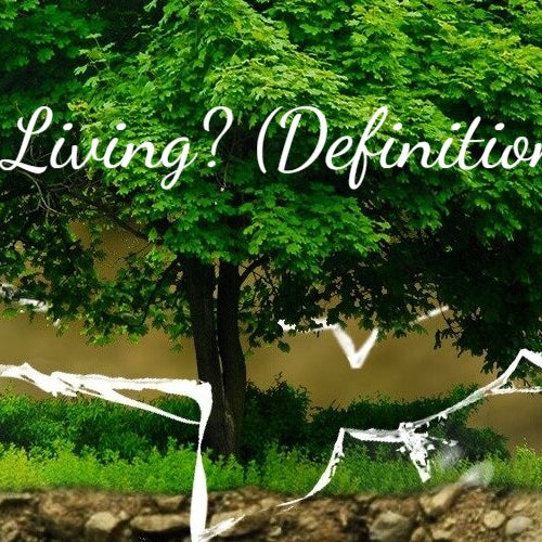 What is Green Living? (Definition and FAQs)