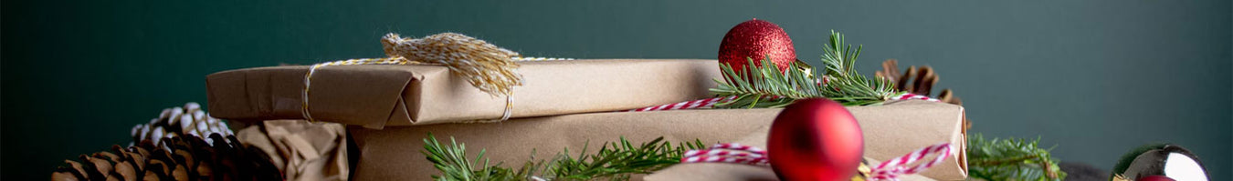 Christmas Gift Ideas
