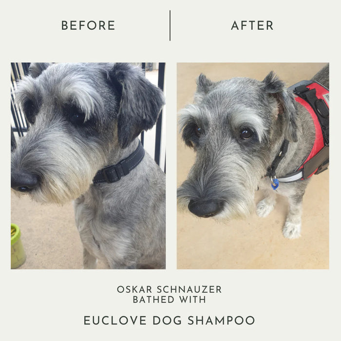 EUCLOVE Pet Conditioner & Detangler 250ml