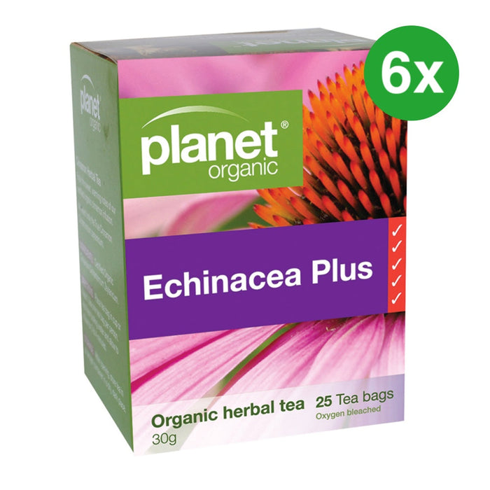 PLANET ORGANIC Echinacea Plus Herbal Tea 25 Bags 6 Boxes (Extra 5% Off)