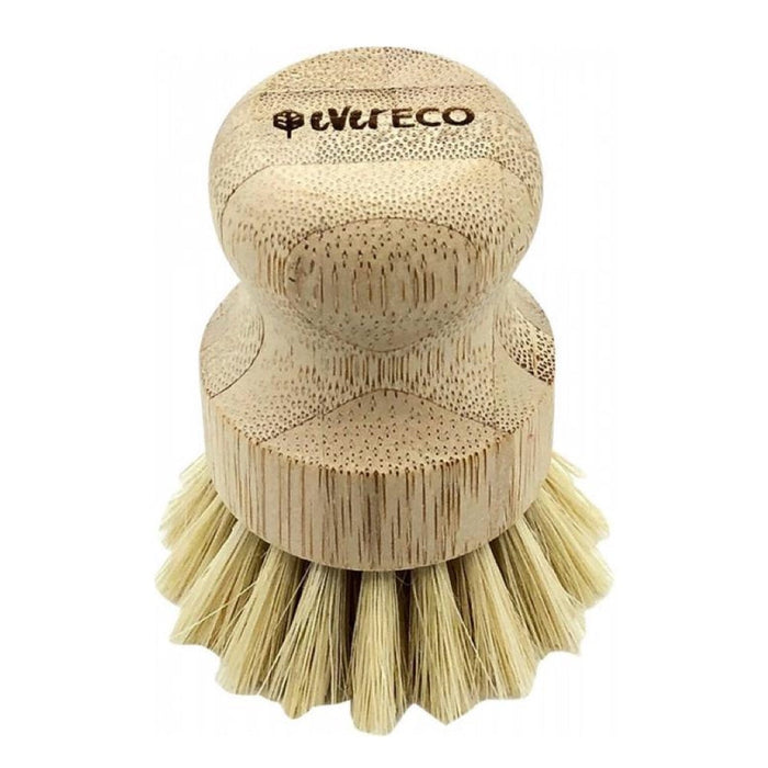 EVER ECO Veggie Scrubber Bamboo Handle, Sisal Bristles or Palm Leaf Bristles Sisal Bristles