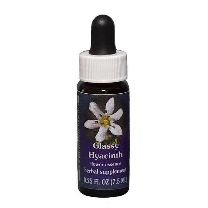 FES Flower Essences Range Of Light Quintessentials 7.5ml G to I Glassy Hyacinth