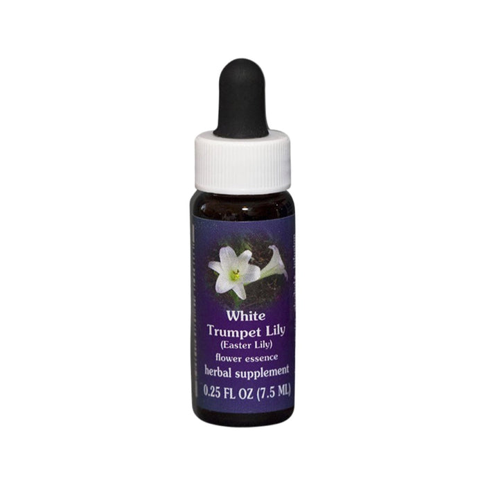 FES Quintessentials White Trumpet Lily (Easter Lily) 7.5ml