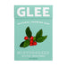 GLEE GUM Sugar free Chewing Gum Wintergreen Box x 12 BULK