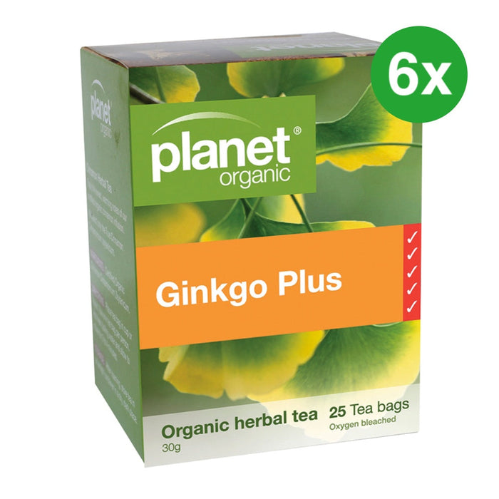 PLANET ORGANIC Ginkgo Plus With Green Tea Herbal Tea 25 Bags 6 Boxes (Extra 5% Off)