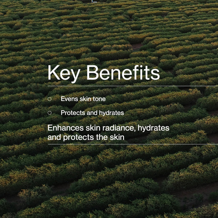 THE JOJOBA COMPANY Illuminating Tinted Moisturiser SPF15 Medium 50ml