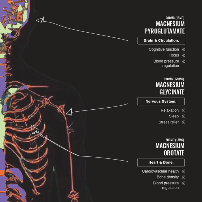 SWITCH NUTRITION Multi-Mag Perform Watermelon 150g