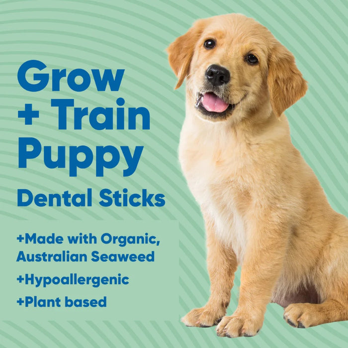 Puppy dental stick hotsell