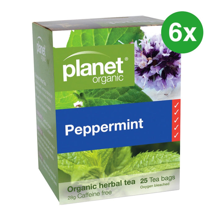 PLANET ORGANIC Peppermint Herbal Tea 25 Bags 6 Boxes (Extra 5% Off)