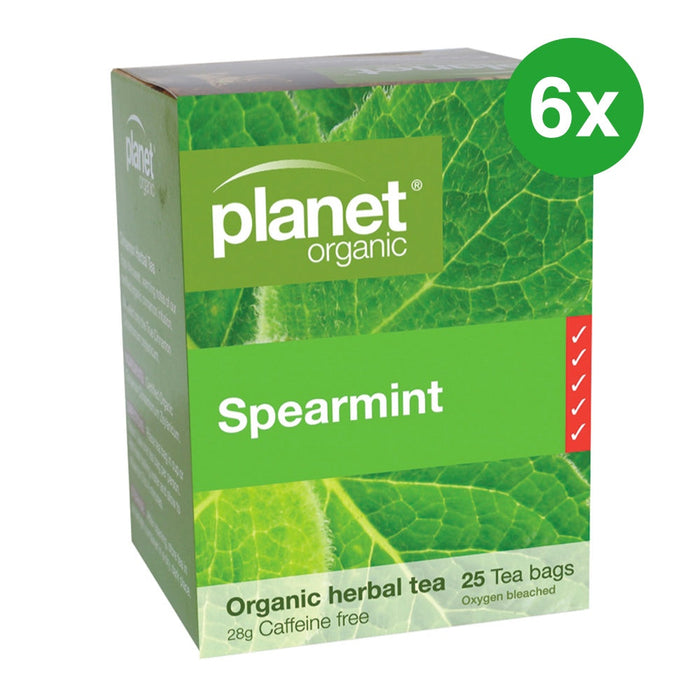 PLANET ORGANIC Spearmint Herbal Tea 25 Bags 6x Pack