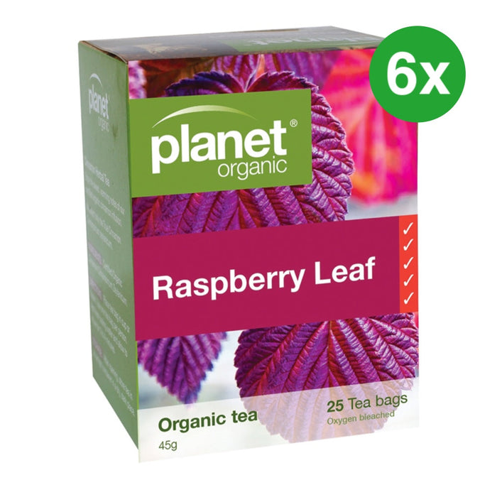 PLANET ORGANIC Herbal Tea Raspberry Leaf 25 Bags 6 Pack