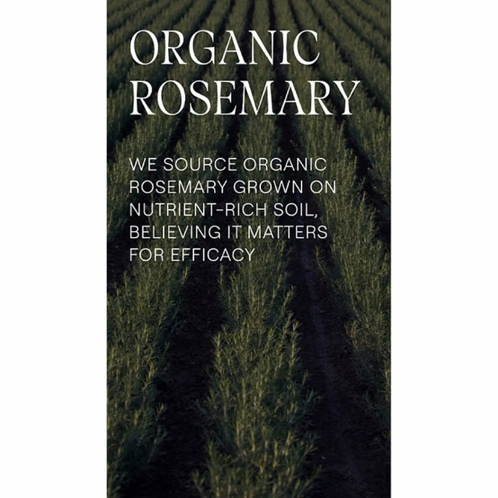 WELEDA Revitalizing Shampoo Rosemary 250ml