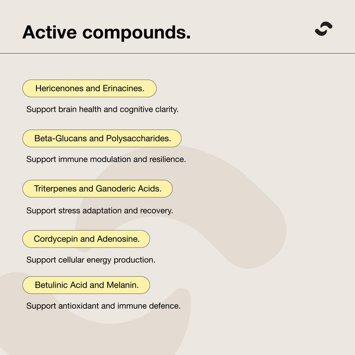 SWITCH NUTRITION Four Blend Double Strength 2:1 Mushroom Liquid Extract 60ml