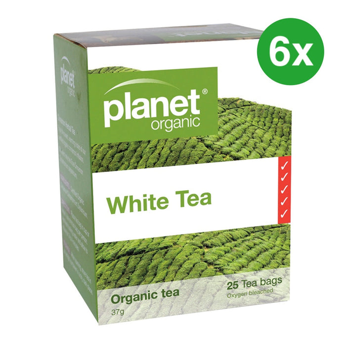 PLANET ORGANIC White Tea Herbal Tea 25 Bags 6 Boxes (Extra 5% Off)