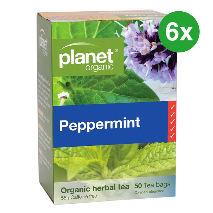 PLANET ORGANIC Peppermint Herbal Tea 50 Bags 6 Boxes (Extra 5% Off)