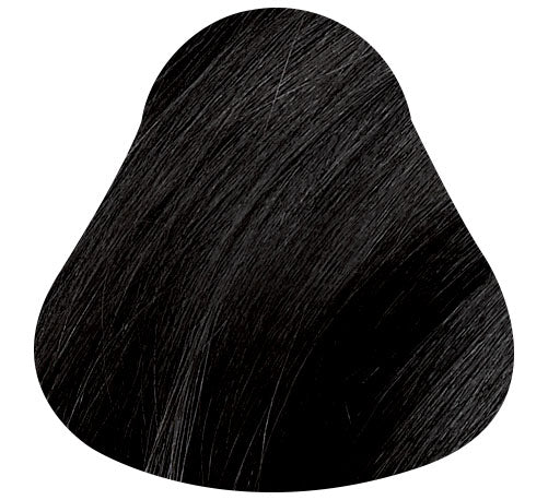 NATURTINT Ebony Black Plant Based Hair Colour - 1N 155mL