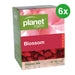 PLANET ORGANIC Herbal Tea Blossom - 25 Bags