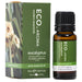 ECO Aroma Eucalyptus Essential Oil 