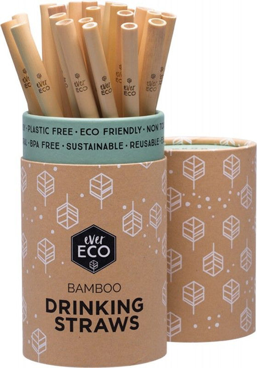 EVER ECO Bamboo Straws Counter Display - 30