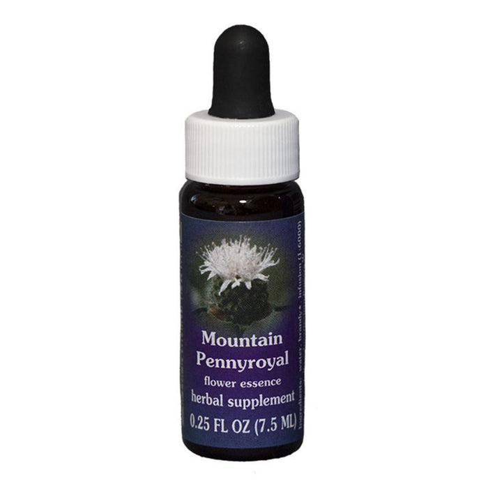 FES Mountain Pennyroyal Quintessentials 