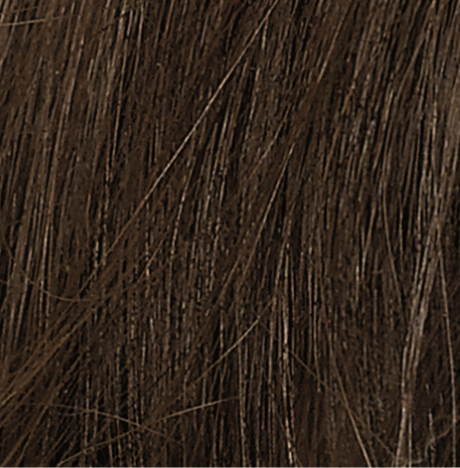 NATURTINT Golden Chestnut Plant Based Hair Colour - 4G 170mL
