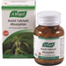 Vogel Assist Calcium Absorption homeopathic remedy 600t