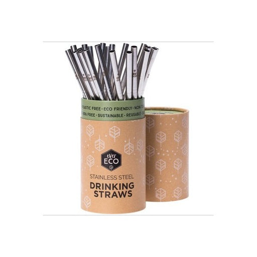 EVER ECO Stainless Steel Straws - Straight Counter Display - 25